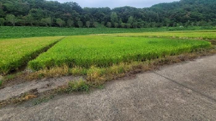 경남 의령군 정곡면 전답 경매 물건 사진