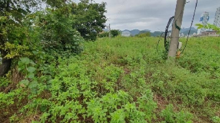 경남 창원시 마산합포구 진동면 대지,임야,전답 경매 물건 사진 2 · 2025타경20847