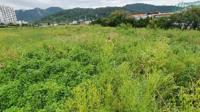 경남 창원시 마산합포구 진동면 대지,임야,전답 경매 물건 사진 6 · 2025타경20847