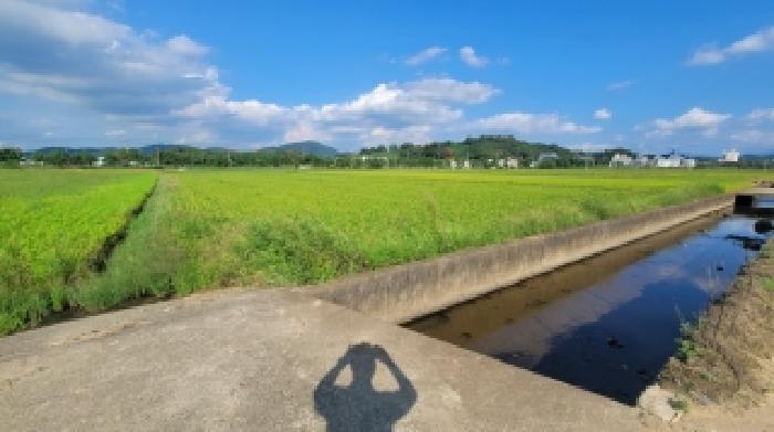 경남 함안군 군북면 답 경매 물건 사진 2 · 2025타경20868