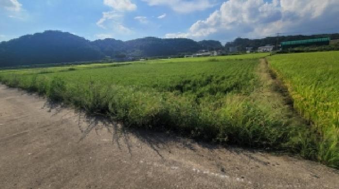 경남 함안군 군북면 답 경매 물건 사진