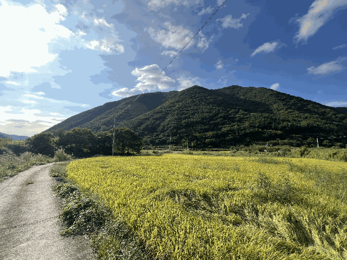 경남 창원시 마산합포구 진전면 답 경매 물건 사진 6 · 2025타경20870