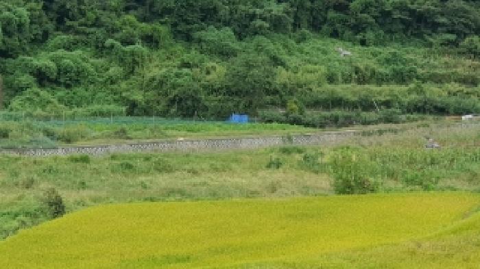 경남 창원시 마산합포구 진전면 답 경매 물건 사진