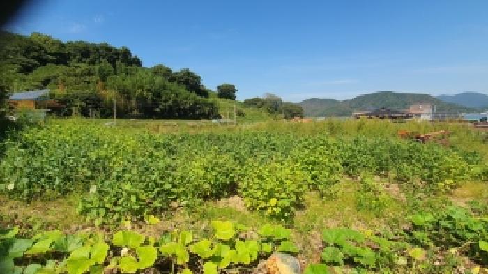 경남 창원시 마산합포구 진전면 대지 경매 물건 사진 5 · 2025타경20872