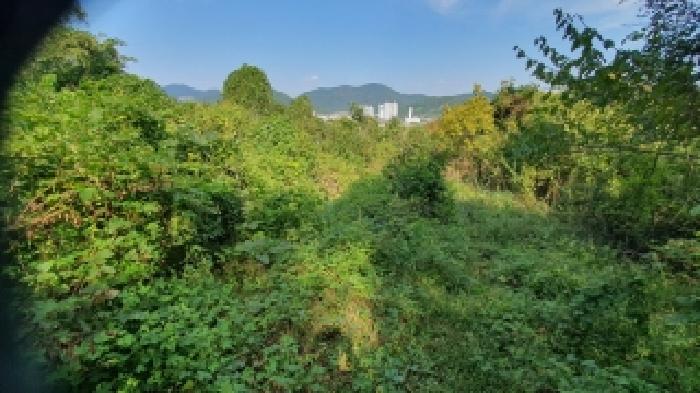 경남 창원시 마산합포구 진동면 전 경매 물건 사진