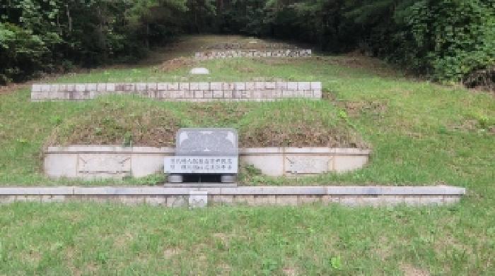 경남 의령군 지정면 임야 경매 물건 사진 3 · 2025타경20908