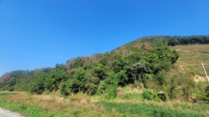 경남 함안군 칠북면 임야 경매 물건 사진 4 · 2025타경20929