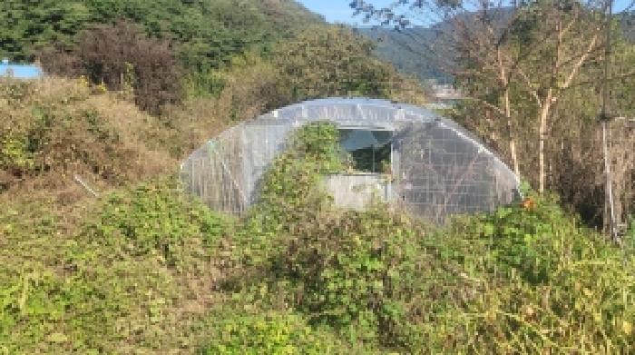 경남 함안군 산인면 전 경매 물건 사진 2 · 2025타경20938