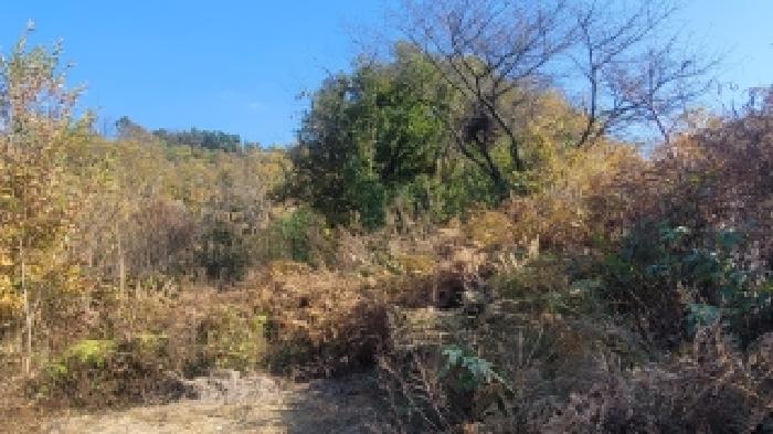 경남 함안군 가야읍 전 경매 물건 사진