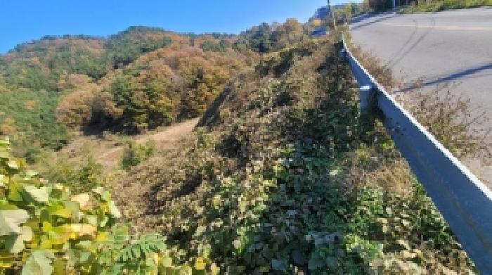 경남 함안군 법수면 대지,임야,전답 경매 물건 사진