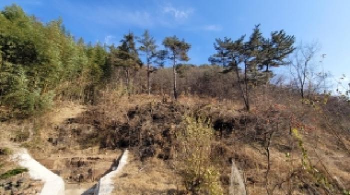 경남 의령군 정곡면 전 경매 물건 사진