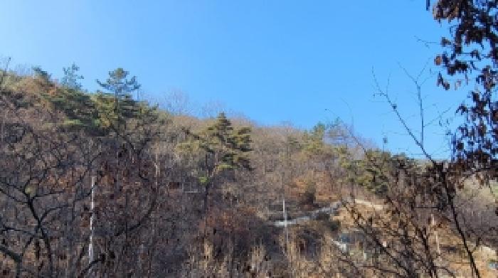 경남 의령군 정곡면 전 경매 물건 사진 3 · 2025타경21011