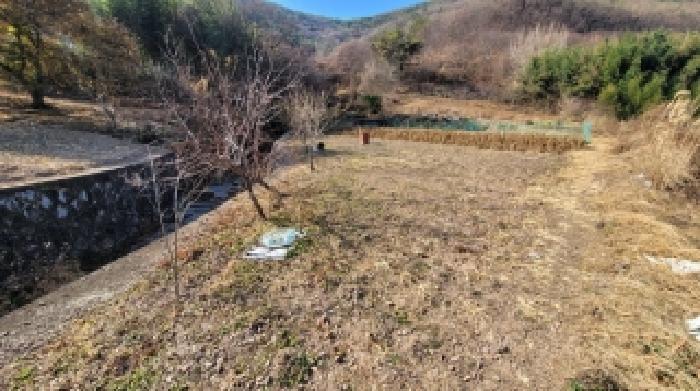 경남 의령군 정곡면 전 경매 물건 사진 4 · 2025타경21011