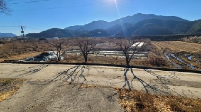 경남 함안군 군북면 답 경매 물건 사진 2 · 2025타경21030