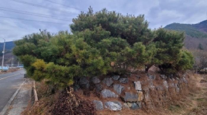 경남 의령군 의령읍 단독주택 경매 물건 사진