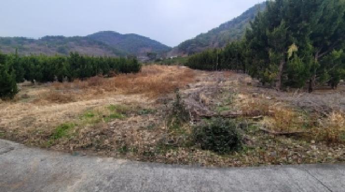 경남 창원시 마산회원구 두척동 전답 경매 물건 사진