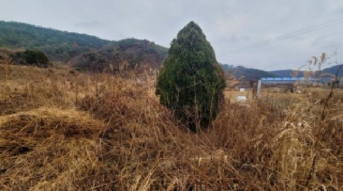 경남 함안군 대산면 전 경매 물건 사진 6 · 2025타경21083