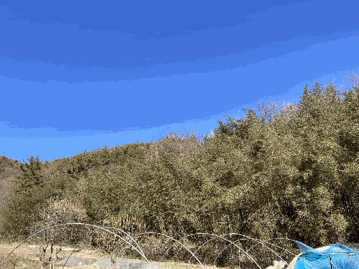 경남 함안군 대산면 전 경매 물건 사진 6 · 2025타경21084