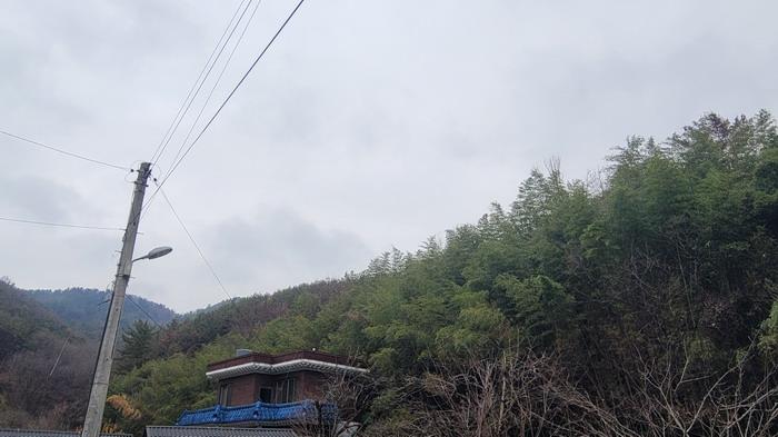 경남 함안군 대산면 전 경매 물건 사진