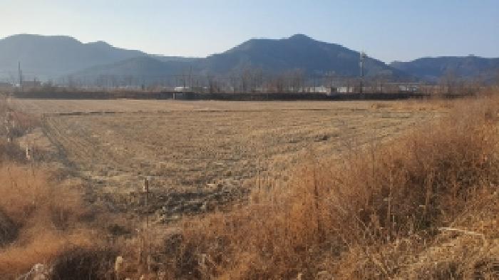경남 창원시 마산합포구 진전면 답 경매 물건 사진 2 · 2025타경21087