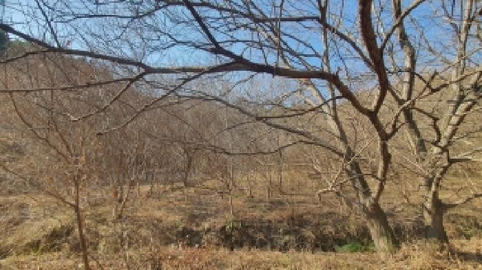 경남 창원시 마산합포구 진동면 답 경매 물건 사진 3 · 2025타경21088