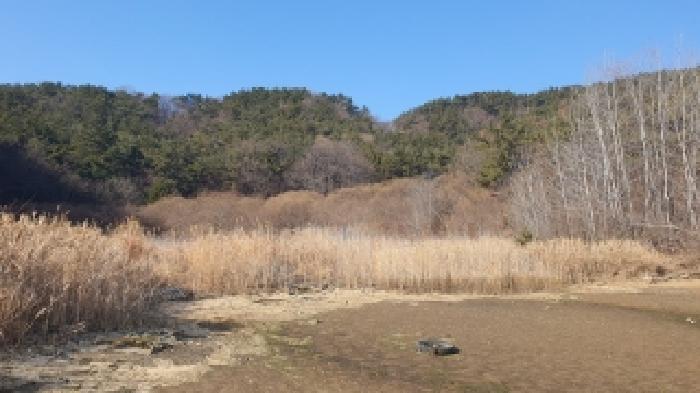 경남 창원시 마산합포구 진동면 답 경매 물건 사진