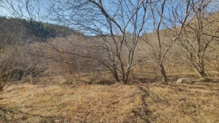 경남 창원시 마산합포구 진동면 답 경매 물건 사진 2 · 2025타경21088