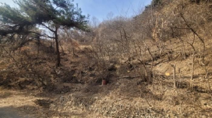 경남 의령군 의령읍 임야 경매 물건 사진 4 · 2025타경21089