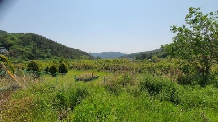 경남 창원시 마산합포구 구산면 전 경매 물건 사진
