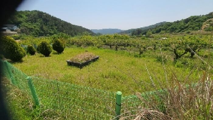 경남 창원시 마산합포구 구산면 전 경매 물건 사진 2 · 2025타경211