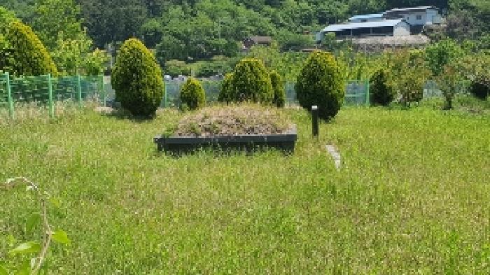 경남 창원시 마산합포구 구산면 전 경매 물건 사진 3 · 2025타경211