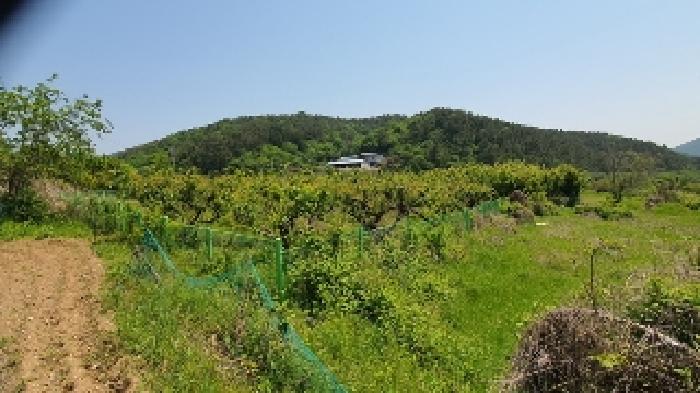 경남 창원시 마산합포구 구산면 전 경매 물건 사진 4 · 2025타경211