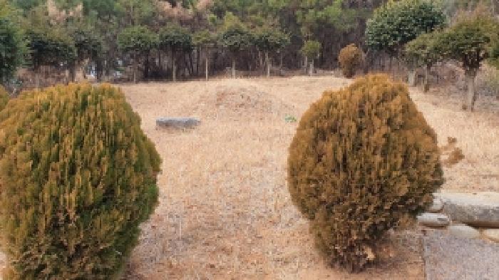 경남 창원시 마산합포구 덕동동 대지,임야,전답 경매 물건 사진 6 · 2025타경21123