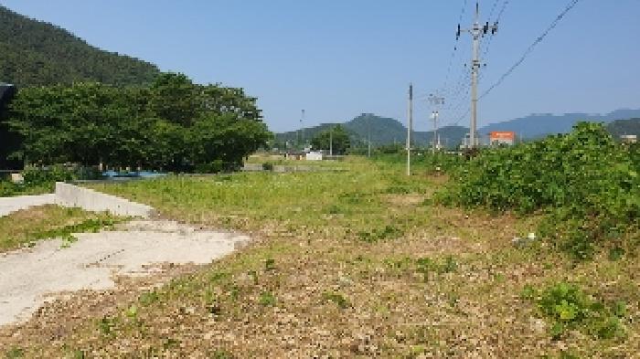 경남 창원시 마산합포구 진동면 전 경매 물건 사진