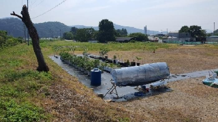경남 창원시 마산합포구 진동면 전 경매 물건 사진 2 · 2025타경231