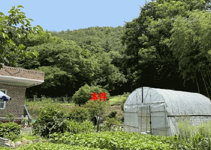 경남 창원시 마산합포구 진북면 전 경매 물건 사진 3 · 2025타경233