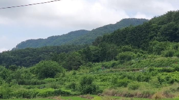 경남 창원시 마산합포구 구산면 전 경매 물건 사진