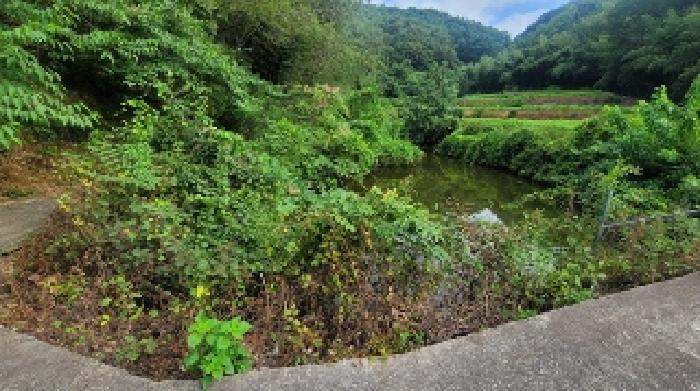 경남 의령군 지정면 전 경매 물건 사진