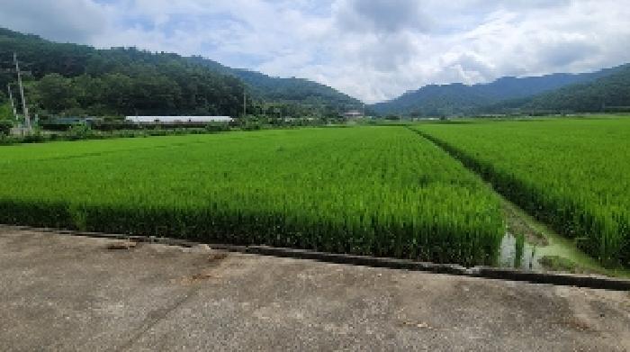 경남 함안군 대산면 전 경매 물건 사진 2 · 2025타경272