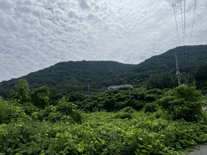 경남 창원시 마산합포구 구산면 임야 경매 물건 사진 5 · 2025타경274