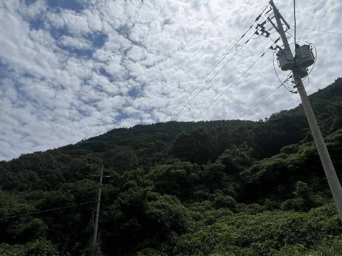 경남 창원시 마산합포구 구산면 임야 경매 물건 사진 6 · 2025타경274