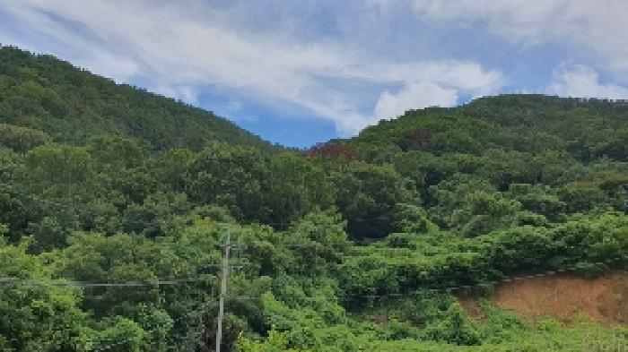 경남 창원시 마산합포구 구산면 임야 경매 물건 사진