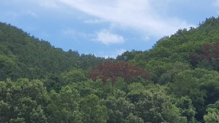 경남 창원시 마산합포구 구산면 임야 경매 물건 사진 2 · 2025타경274
