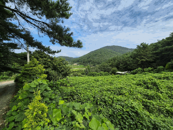 경남 창원시 마산합포구 구산면 답 경매 물건 사진 4 · 2025타경279
