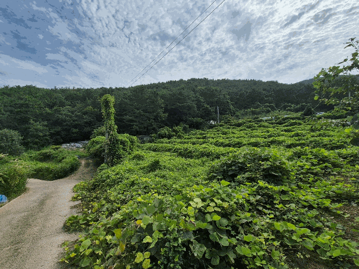 경남 창원시 마산합포구 구산면 답 경매 물건 사진 5 · 2025타경279