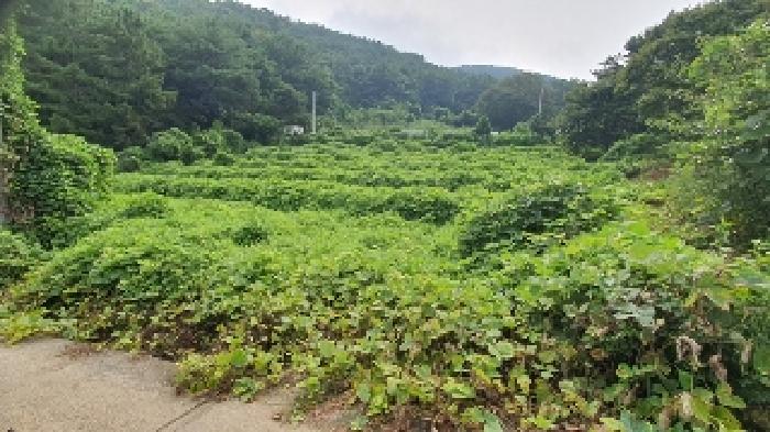 경남 창원시 마산합포구 구산면 답 경매 물건 사진