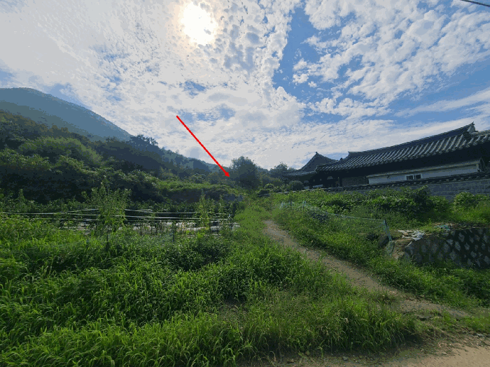 경상남도 창원시 마산합포구 진동면 교동리 512 전 경매 물건 사진