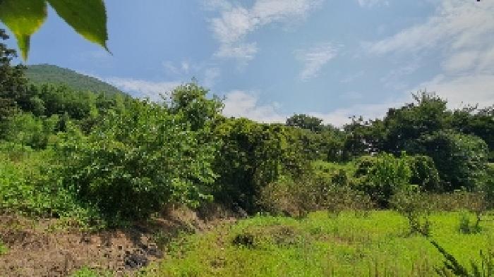 경남 창원시 마산합포구 진동면 전 경매 물건 사진