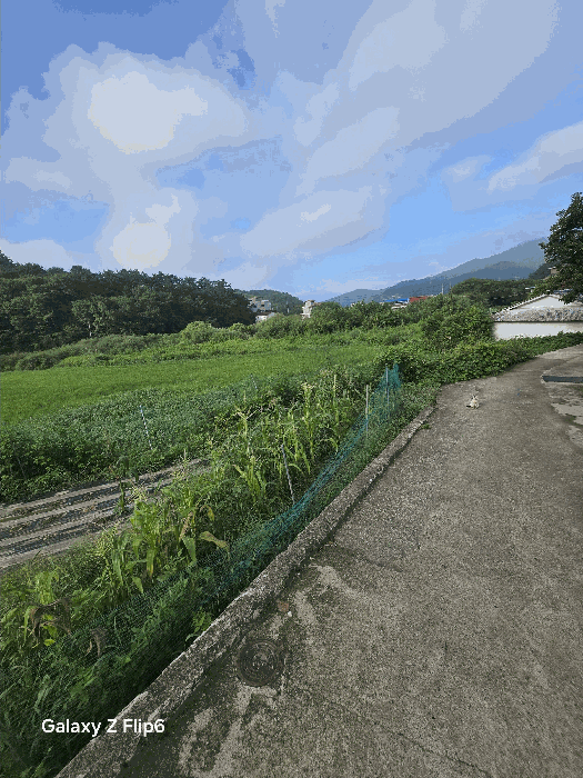 경남 창원시 마산합포구 구산면 답 경매 물건 사진 5 · 2025타경281