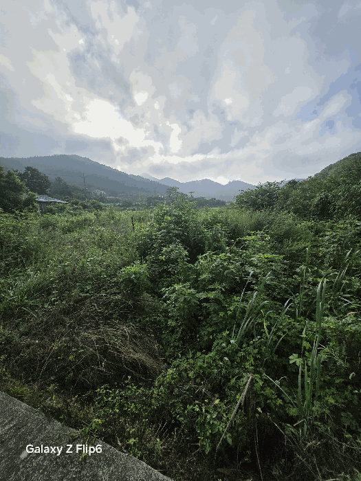 경남 창원시 마산합포구 구산면 답 경매 물건 사진 6 · 2025타경281